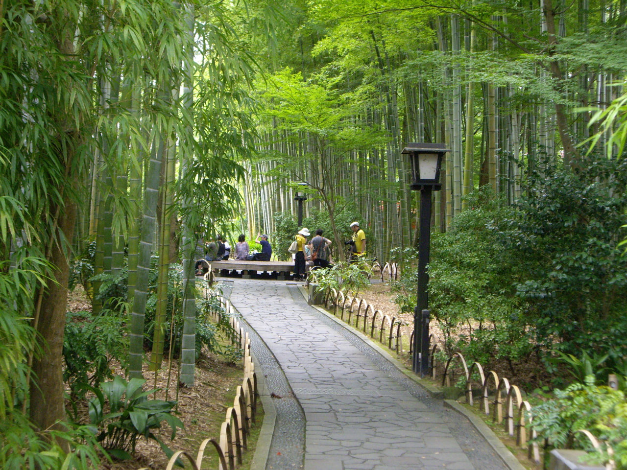 修善寺の竹林の小径